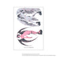 天使と悪魔(Angels and Demons)from oyouun [ID: TC0010]